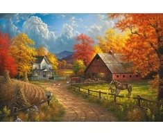 RAINBOW Deimantinio paveikslo-mozaikos 5D rinkinys (akučių klijavimas) 30x40 cm DK41209