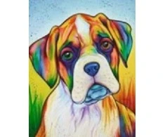 RAINBOW Deimantinio paveikslo-mozaikos 5D rinkinys (akučių klijavimas) 30x40 cm DK41003