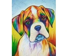 RAINBOW Deimantinio paveikslo-mozaikos 5D rinkinys (akučių klijavimas) 30x40 cm DK41003