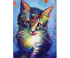 RAINBOW Deimantinio paveikslo-mozaikos 5D rinkinys (akučių klijavimas) 30x40 cm DK41046