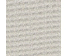 RAINBOW Kanva siuvinėjimui 60 langelių/10 cm, 150 cm 1 m, spalva lino