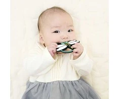 Kramtukas kūdikiams EDISONmama „Kamikami Baby Dragonfly“, nuo 3 mėn., KJ420377
