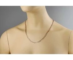 Auksinė grandinėlė "Curb" Brasco 46955