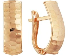 Auksiniai auskarai Brasco 60970