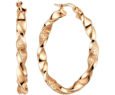 Auksiniai auskarai Brasco 63519