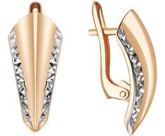 Auksiniai auskarai Brasco 65016
