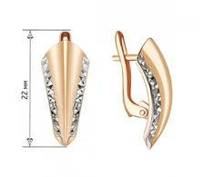 Auksiniai auskarai Brasco 65016