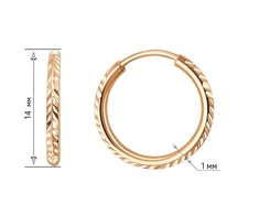 Auksiniai auskarai Brasco 65063