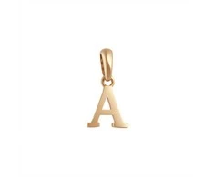 Auksinis pakabukas Brasco 58263