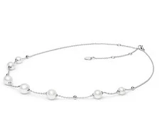 Sidabrinė grandinėlė su perlais Brasco 44056