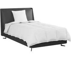 Patalynės komplektas 2-in-1 Antklodė su pagalve 2 pcs Balta Plunksna