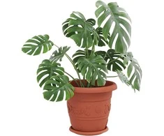 Apvalus gėlių padėklas 6 pcs Raudona plyta Ø 23,5 x 2,5 cm