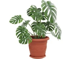 Apvalus gėlių padėklas 6 pcs Raudona plyta Ø 21,5 x 2,5 cm