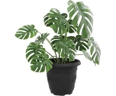 Apvalus gėlių vazonas 24 pcs Juoda Ø 30 x 25 cm Plastmasė