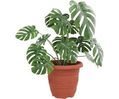 Apvalus gėlių vazonas 6 pcs Raudona plyta Ø 30 x 25 cm