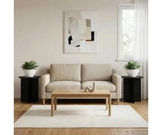 Augalų stovas 2 pcs Juoda 40 x 40 x 40 cm Apdirbta mediena