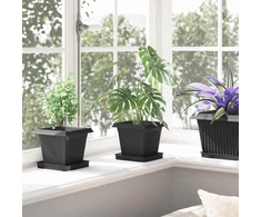 Augalų vazonai 24 pcs Juoda 16 x 16 x 14 cm Plastmasė
