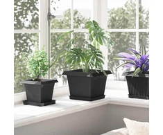 Augalų vazonai 6 pcs Juoda 23 x 23 x 175 cm Plastmasė