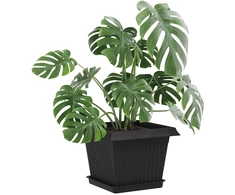 Augalų vazonai 6 pcs Juoda 23 x 23 x 175 cm Plastmasė