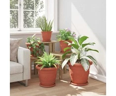 Augalų vazonai 6 pcs Raudona plyta Ø 34 x 28 cm Plastmasė