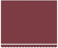 Automatinė ištraukiama markizė bordo spalvos 400x300cm