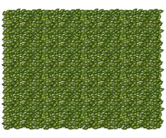 Balkono ekranas su lapais Žalia ir geltona 200 x 150 cm