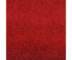 Durų kilimėlis Raudona ir Juoda 120 x 300 cm 100% poliamidas