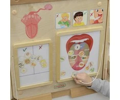 Edukacinė lenta Skonio pojūtis Montessori MASTERKIDZ