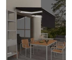 Markizė su uždanga/LED/vėjo jutikliu, antracito, 3x2,5m