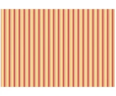Markizės pakaitinis audinys Įvairiaspalvis 450 × 300 cm