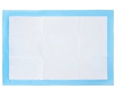 Neaustinės medžiagos augintinių treniruočių pagalvėlė 50 pcs
