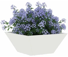 Sodo vazonas 5 pcs Balta 35 x 35 x 15 cm