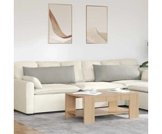 Sofa Pagalvės 2 pcs Šviesiai pilka 120 x 40 cm audinys
