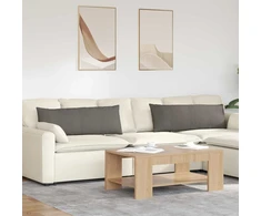 Sofa Pagalvės 2 pcs Šviesiai pilka 120 x 40 cm