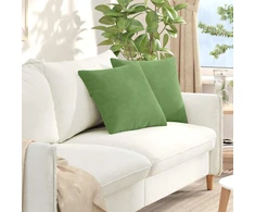 Sofa Pagalvės 2 pcs Šviesiai žalia 45 x 45 cm