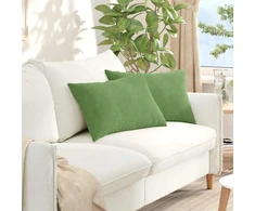 Sofa Pagalvės 2 pcs Šviesiai žalia 60 x 40 cm