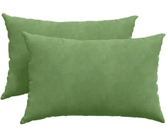 Sofa Pagalvės 2 pcs Šviesiai žalia 60 x 40 cm