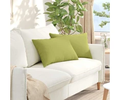 Sofa Pagalvės 2 vnt. audinys Šviesiai žalia 60 x 40 cm