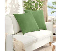 Sofa Pagalvės 2 pcs Šviesiai žalia 80 x 80 cm