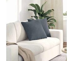 Sofa Pagalvės 2 pcs Tamsiai pilka 45 x 45 cm Kordūrinis audinys
