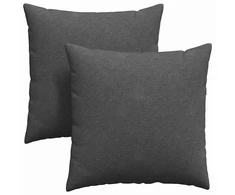 Sofa Pagalvės 2 pcs Tamsiai pilka 80 x 80 cm Kordūrinis audinys