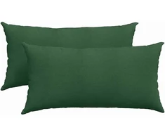 Sofa Pagalvės 2 pcs Tamsiai žalia 80 x 40 cm Kordūrinis audinys