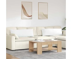 Sofa Pagalvės 2 pcs Balta 120 x 40 cm audinys