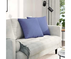 Sofa Pagalvės 2 pcs Džinsinės mėlynos 50 x 50 cm audinys