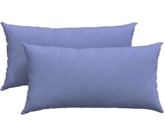 Sofa Pagalvės 2 pcs Džinsinės mėlynos 80 x 40 cm audinys