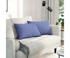 Sofa Pagalvės 2 pcs Džinsinės mėlynos 60 x 40 cm audinys