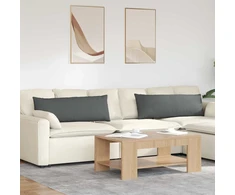 Sofa Pagalvės 2 pcs Tamsiai pilka 120 x 40 cm audinys