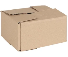 Sulankstoma dėžė 50 pcs Natūrali 20 x 15 x 10 cm Kartonas