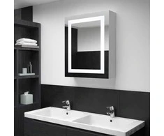 Veidrodinė vonios spintelė su LED apšvietimu, 50x13x70cm