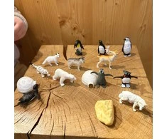 Woopie Arkties gyvūnų figūrėlių rinkinys 16 vnt